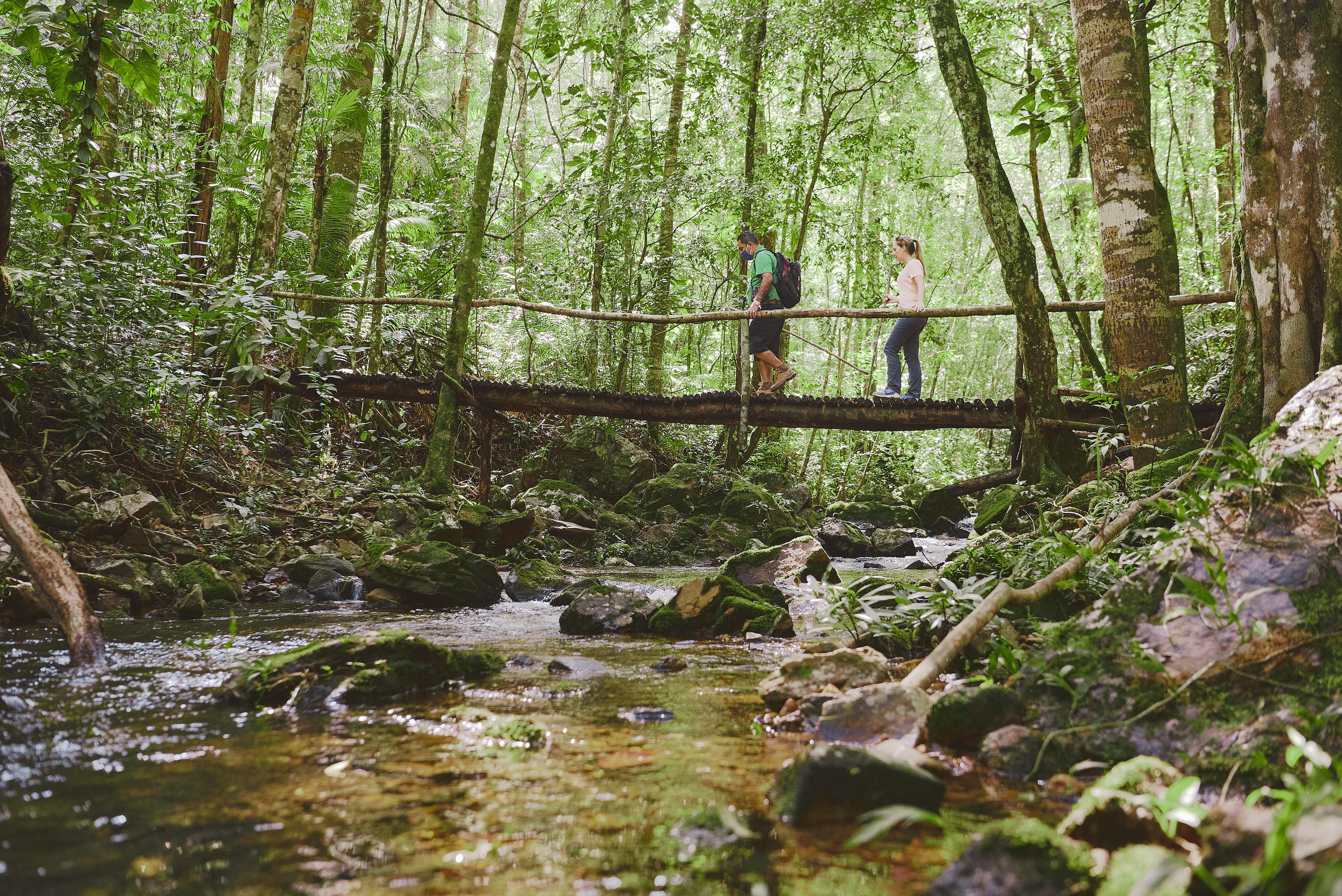 Blancaneau Hidden Valley Wilderness Lodge מראה חיצוני תמונה